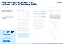 The SAP LeanIX + Collibra integration