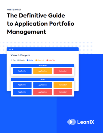 Application Portfolio Management (APM)